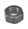 DAF 0174921 Nut